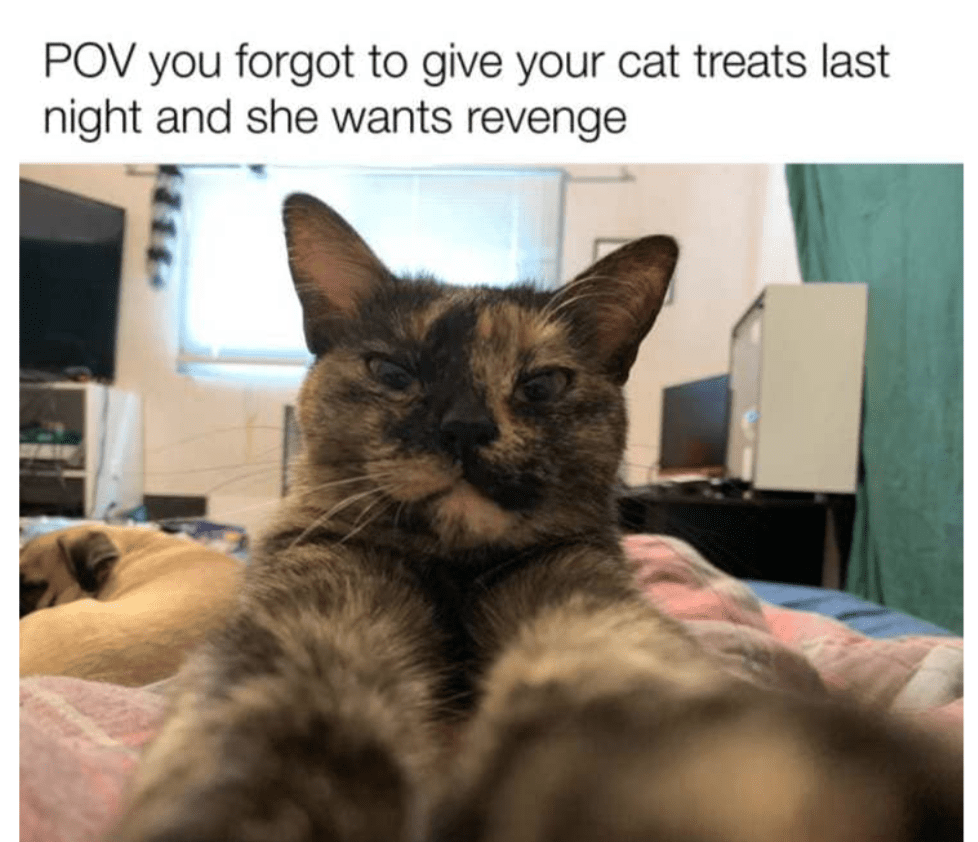 pov
