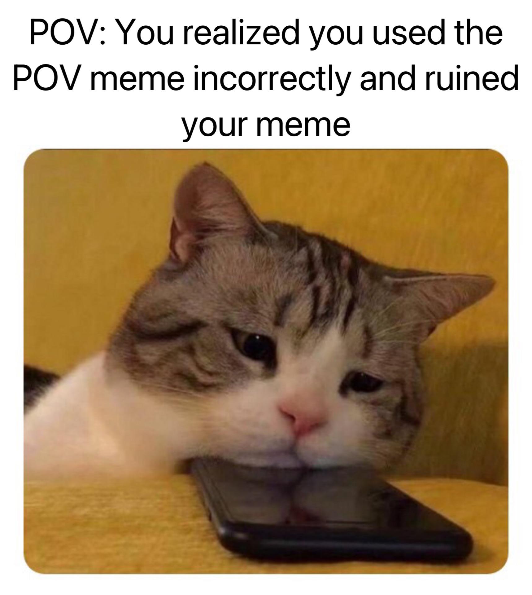 pov memes